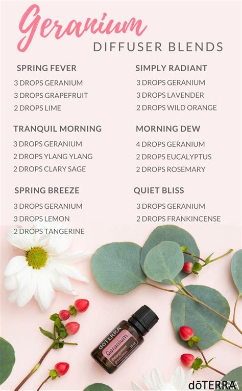 geranium essential oil blend recipes - essential oils with high geraniol.